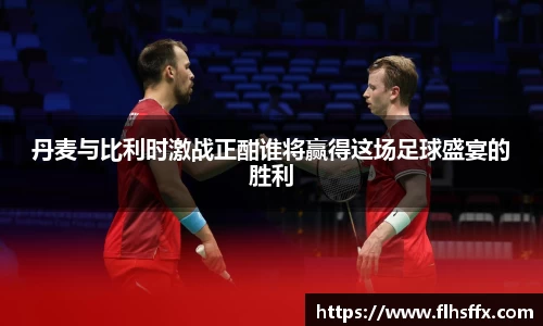 丹麦与比利时激战正酣谁将赢得这场足球盛宴的胜利
