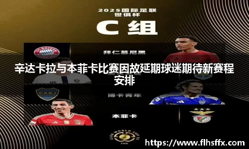 辛达卡拉与本菲卡比赛因故延期球迷期待新赛程安排