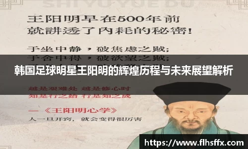 韩国足球明星王阳明的辉煌历程与未来展望解析