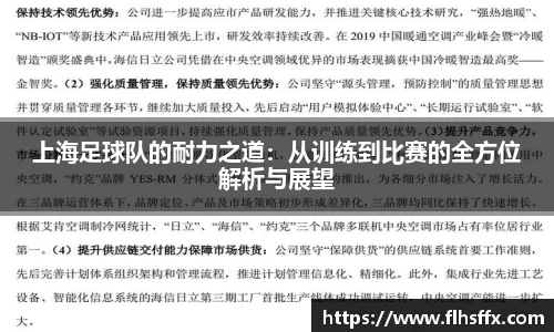 上海足球队的耐力之道：从训练到比赛的全方位解析与展望